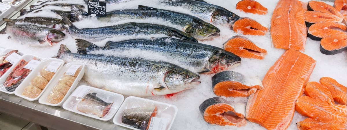 Polskie miasto będzie stolicą norweskiego łososia? Gigant zatrudni 100 osób