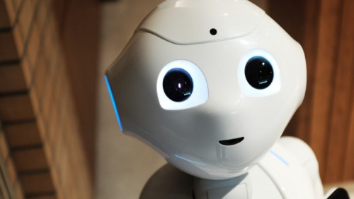 Poda jedzenie, pomoże w myciu i ułatwi poruszanie. Norwegowie stworzyli robota do opieki nad starszymi