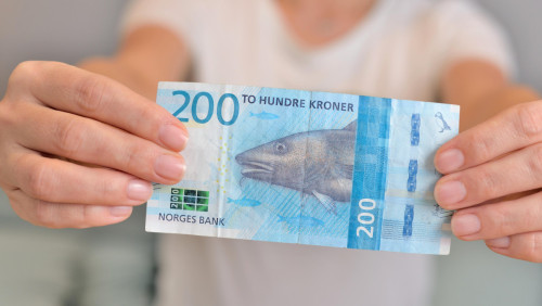 „Dostali wszystko, tylko nie rozsądnych polityków”. Szwedzi śmieją się z kursu korony norweskiej