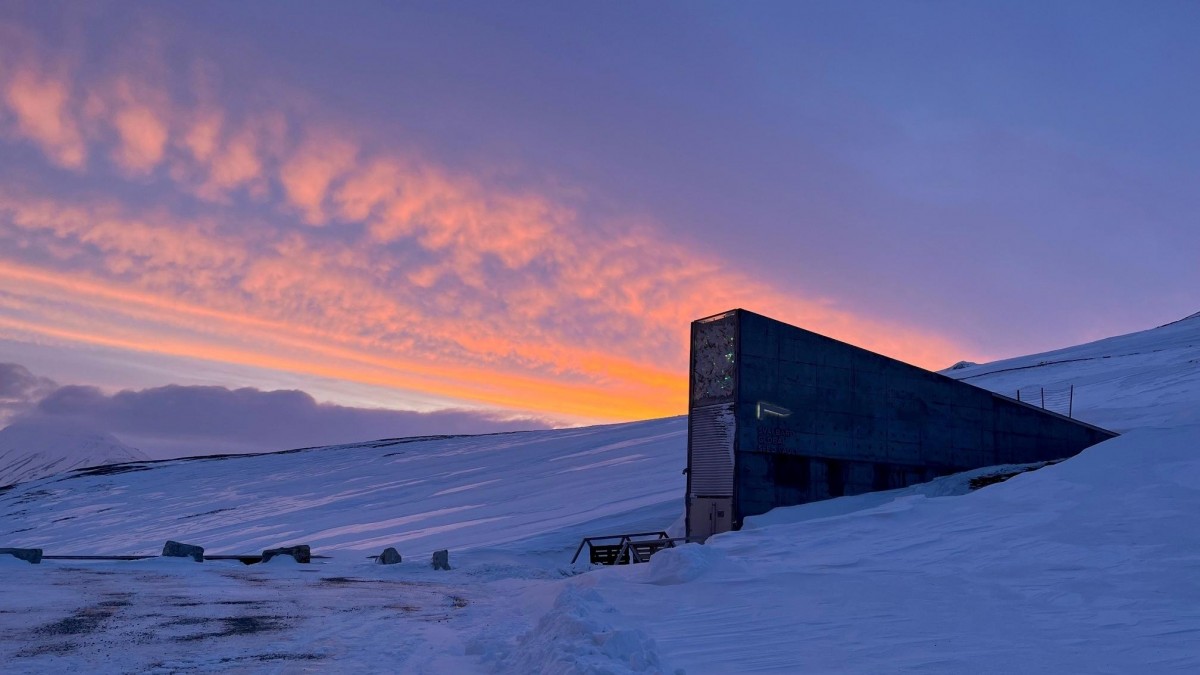 Globalny Bank Nasion świętuje 15 urodziny. Na Svalbardzie zgromadzono ponad milion próbek