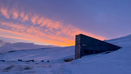 Globalny Bank Nasion świętuje 15 urodziny. Na Svalbardzie zgromadzono ponad milion próbek