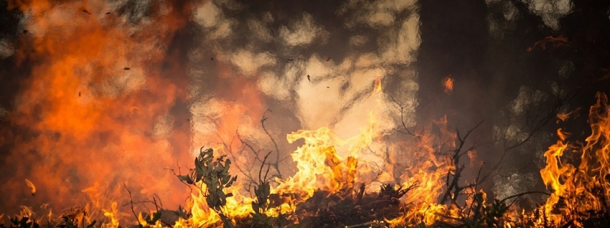 Duży pożar lasu w Trysil. Strażacy nie panują nad ogniem