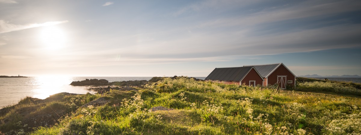 Zorza polarna, białe noce i...golf: ta perełka Lofotów przyciąga graczy z całego świata