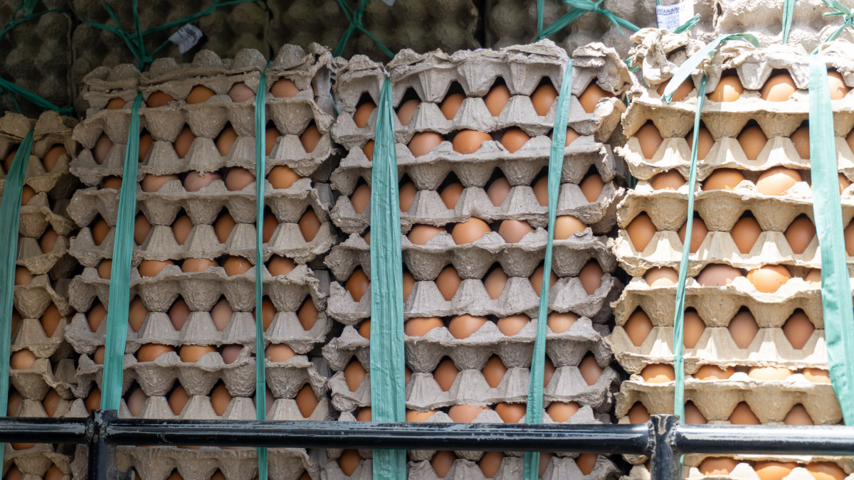 Co najmniej 10 milionów jaj wycofanych ze sprzedaży w Norwegii z powodu ryzyka zatrucia