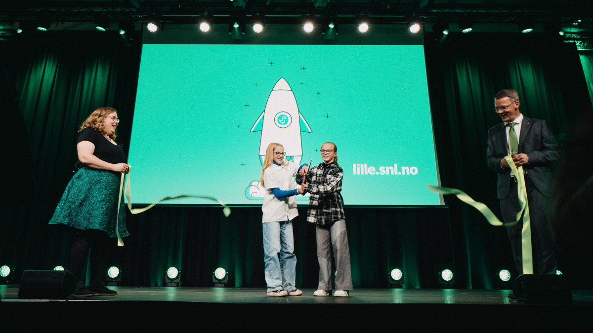 Uczysz się norweskiego? Zajrzyj na stronę Lille norske leksikon