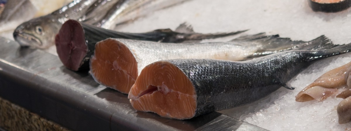 Najlepsze półrocze w historii: importerzy jeszcze nigdy nie kupili aż tylu ryb z kraju fiordów