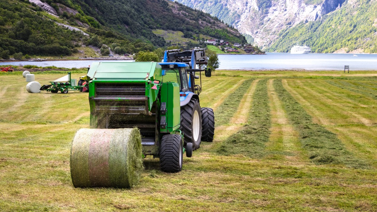 Norwegia nie da rady osiągnąć celów klimatycznych. Są zbyt ambitne, czy działa za wolno?