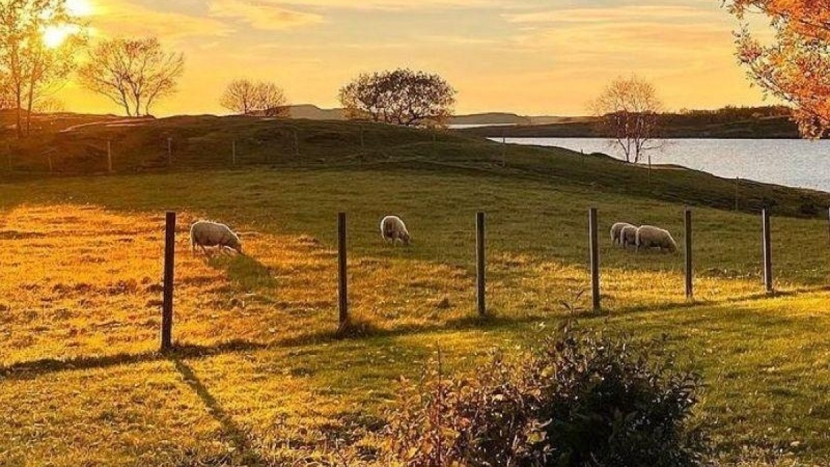 Rekordowe temperatury na Północy: norweska jesień coraz cieplejsza