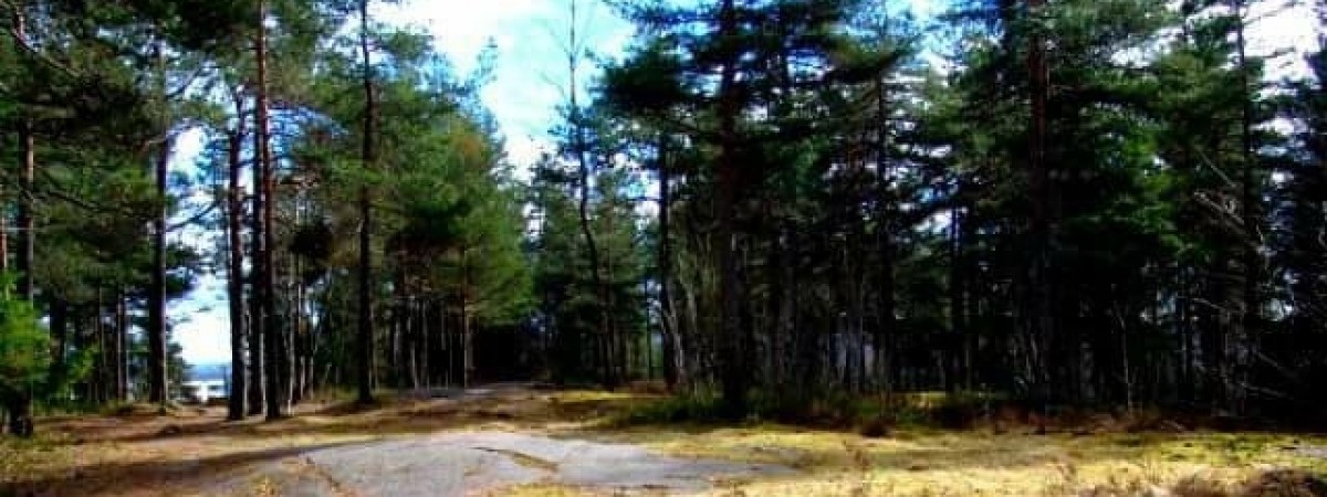 Trening połączony ze… sprzątaniem. Tak „plogging” podbija Norwegię