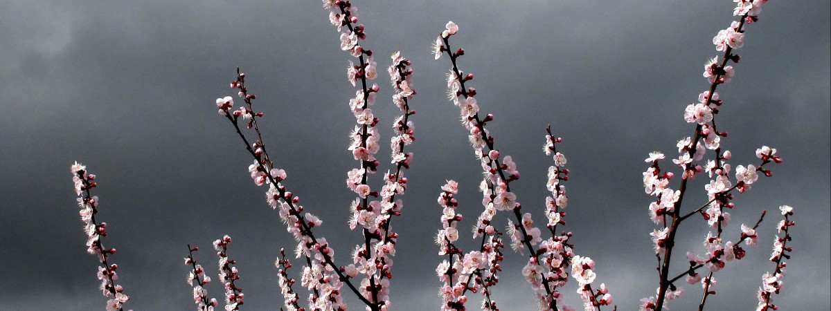 „Już zaczęłam piec ciasta”. Polacy w Norwegii szykują się na Wielkanoc 