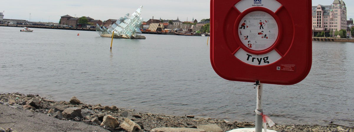 Uwaga na kąpiele w fiordach. Kobieta zarażona mięsożernymi bakteriami