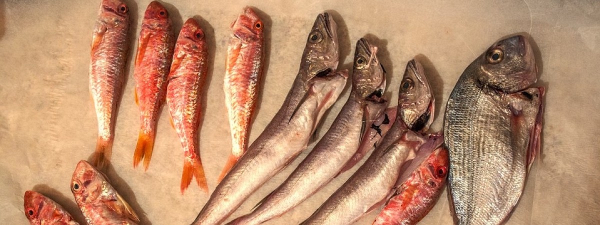 Turyści biją rekordy przemytu. W ręce celników wpadło już ponad osiem ton ryby 