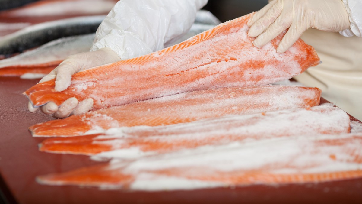 Drugi najlepszy kwartał w historii eksportu norweskich ryb. Do wyniku przyczynił się łosoś