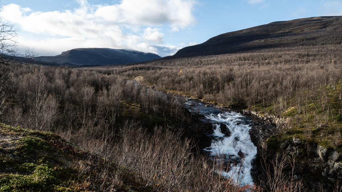 Norwegia jeszcze nigdy nie była tak gorąca: kolejny rekord ciepła