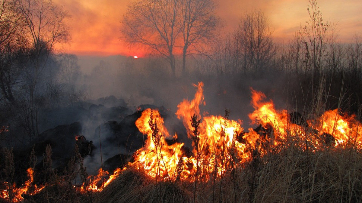 Such weather is rare in January. Norway threatened by wildfires