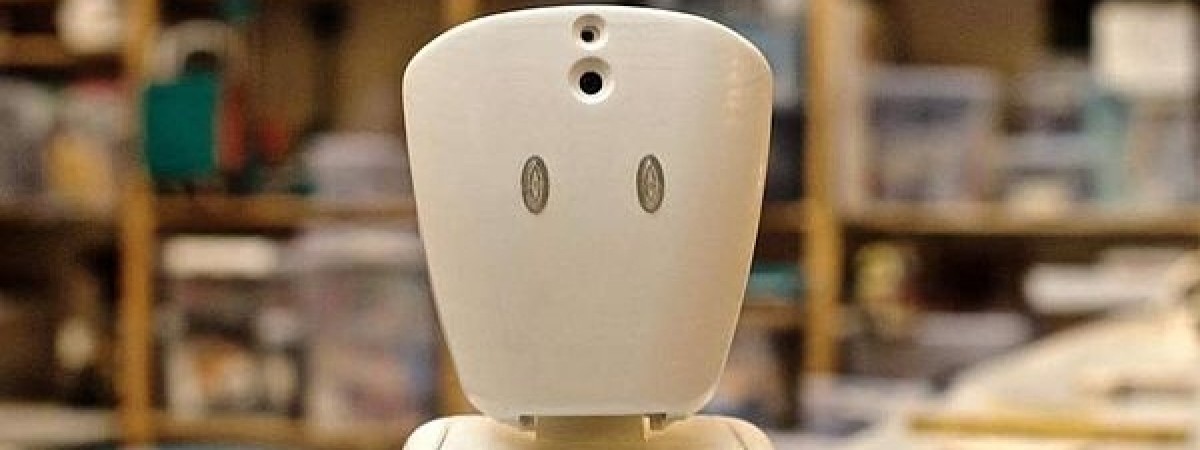 Norweskie roboty idą do szkoły. Mają pomóc ciężko chorym dzieciom