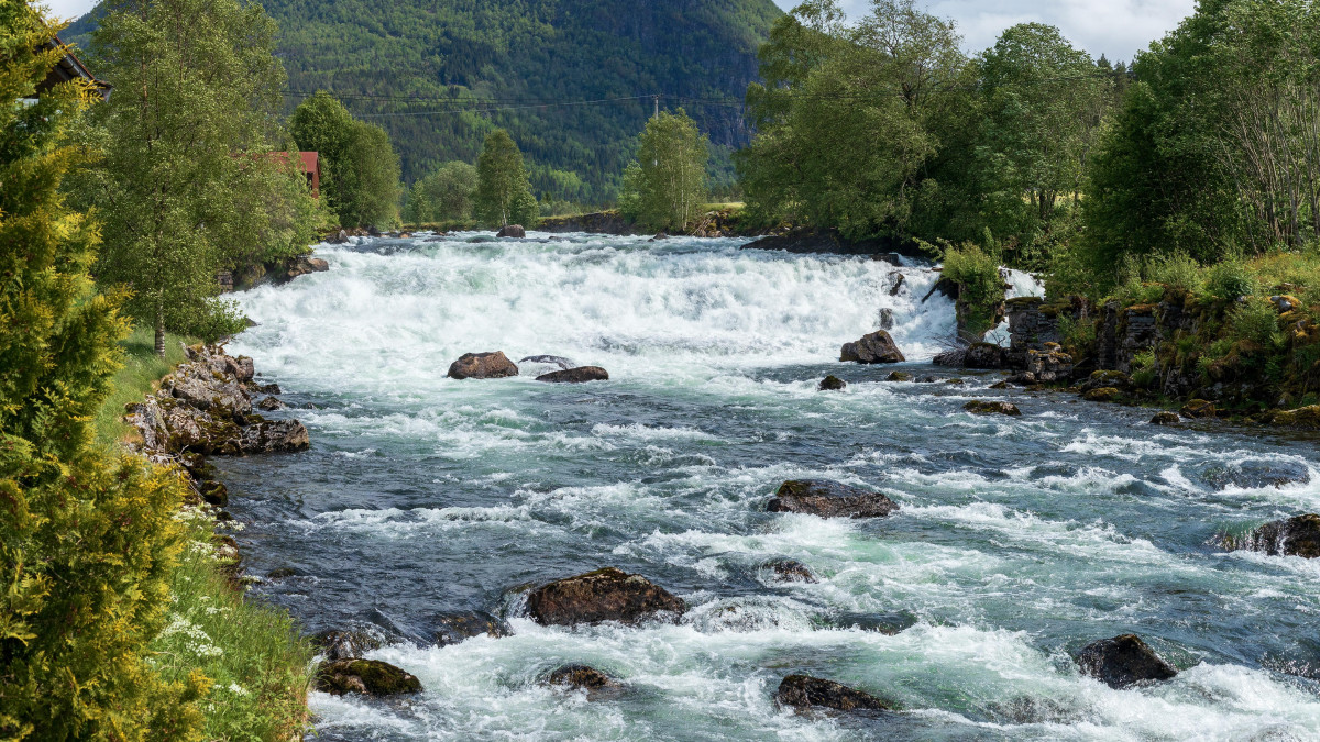 Wzrost liczby łososi w Norwegii zaskakuje. Trwa ostry spór o prawdziwe przyczyny
