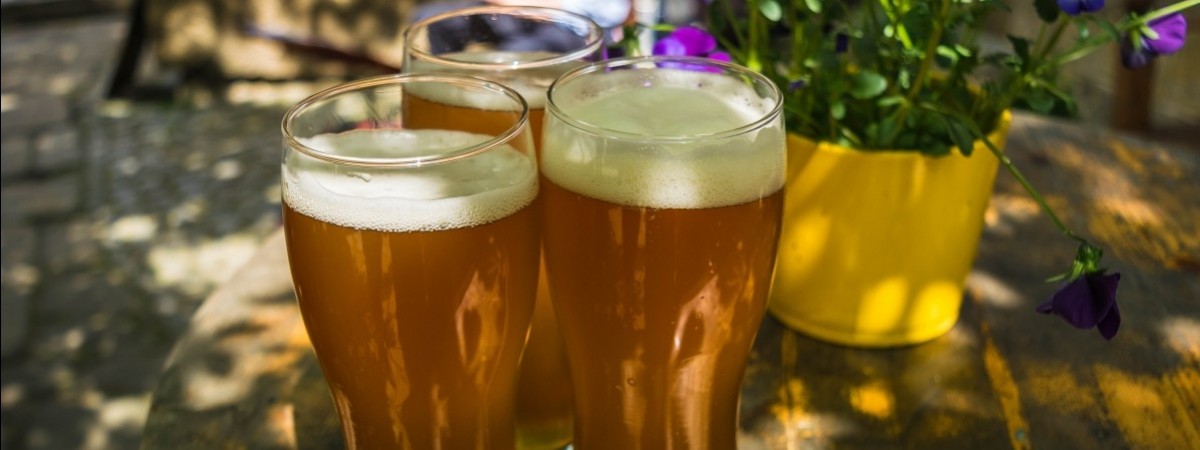 Browar z nutą… mięsa z renifera. Tak będzie smakować pierwsze polsko-samskie piwo