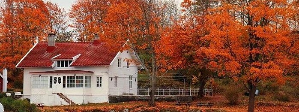 Jesień pełną parą: Norwegia w obiektywie czytelników [GALERIA]