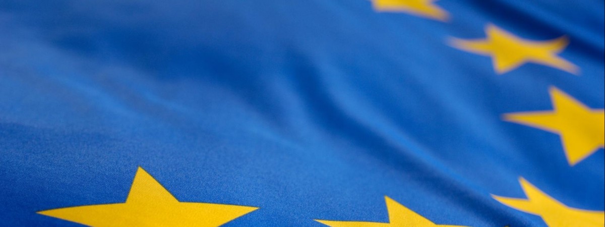 Wybory do Europarlamentu 2019: tak głosowali Polacy w Norwegii