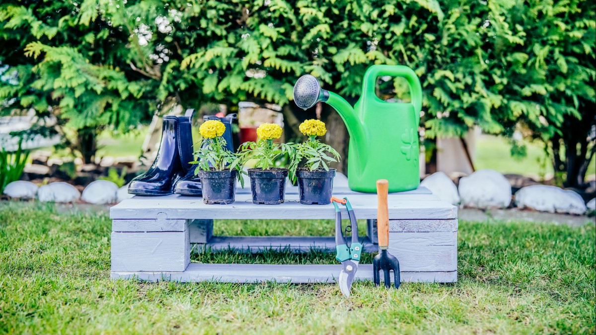 Mandat za odmowę udziału w dugnadzie?