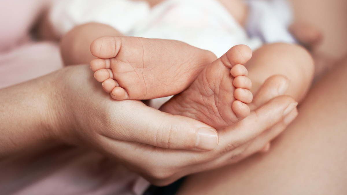 Maksymalna liczba dzieci na jednego dawcę gamet? Kraje nordyckie z propozycją międzynarodowego limitu