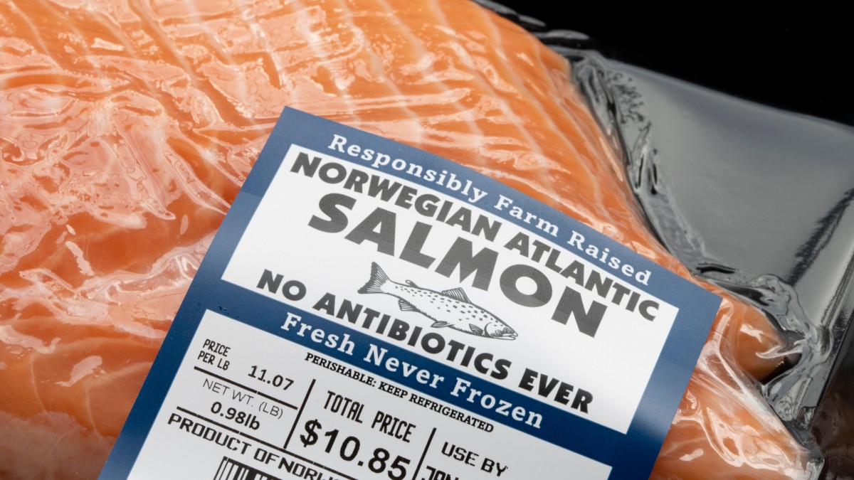 Rekordowy kwartał norweskiego eksportu ryb. Kraj fiordów zarobił 34 miliardy koron