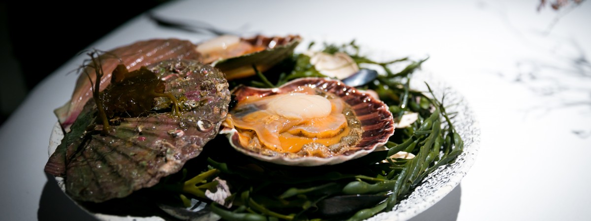 Zamiast cytryny dodają… mrówki. Ta restauracja stawia na oryginalność