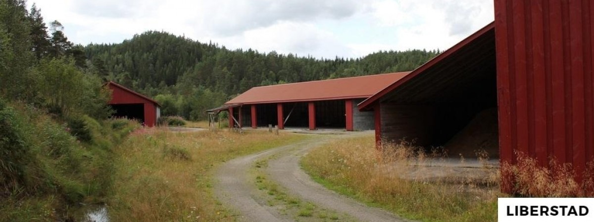 Bez polityki, podatków i kanalizacji, ale… z internetem i bitcoinami: w Norwegii powstało prywatne miasto