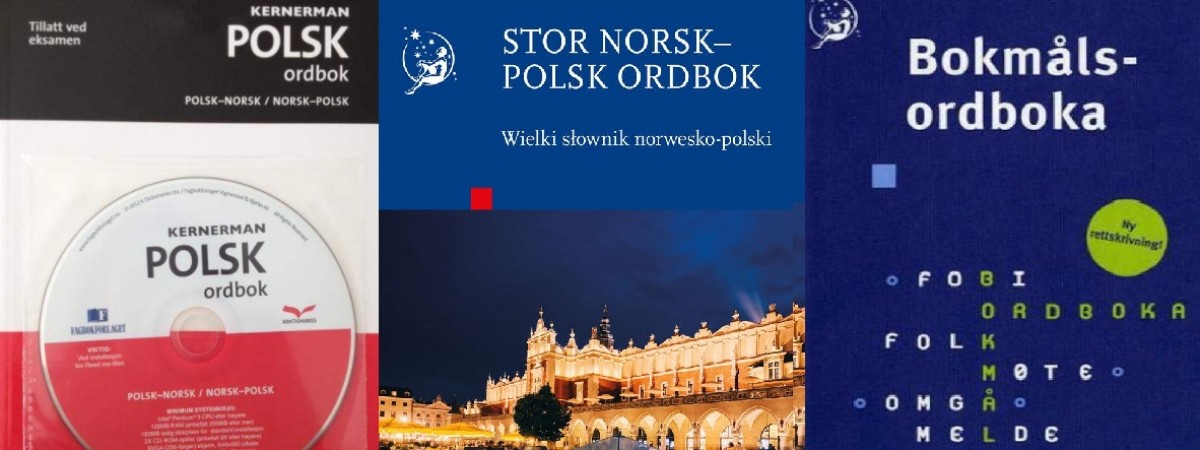 Mają być dokładne i nowoczesne. Te słowniki najczęściej kupują Polacy w Norwegii