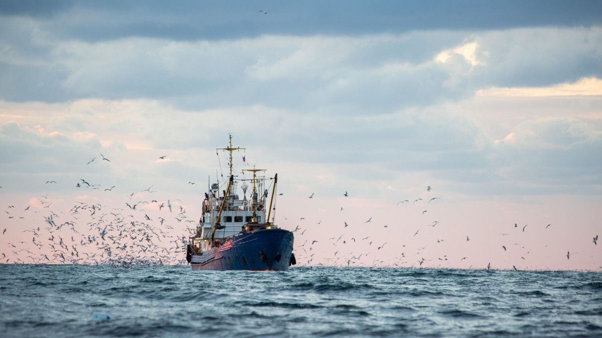 Norweskie firmy współpracują z rosyjską flotą rybacką? „Nie nakładamy na siebie dodatkowych sankcji”