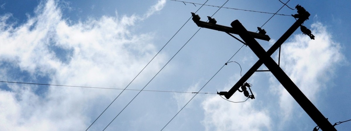 Stracili mnóstwo pieniędzy, zostawili mieszkańców bez prądu. Wszystkiemu winien… 8-miesięczny kot