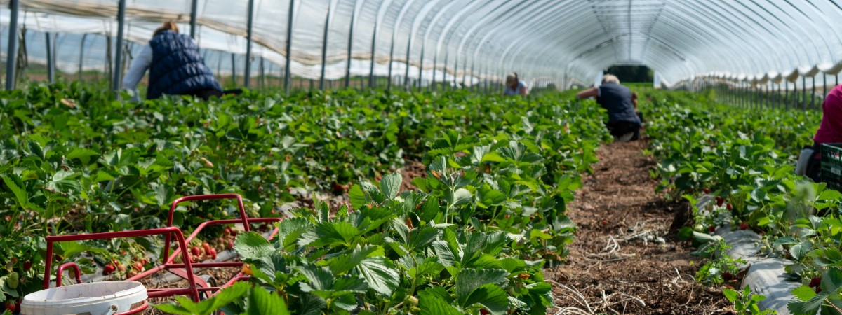 5 złotych zasad, które musisz znać, gdy zatrudniasz się na sezon