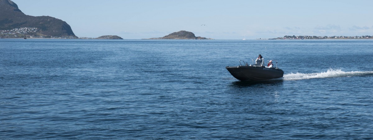 Kajakarz otoczony przez orki. Takiej sytuacji nikt się nie spodziewał