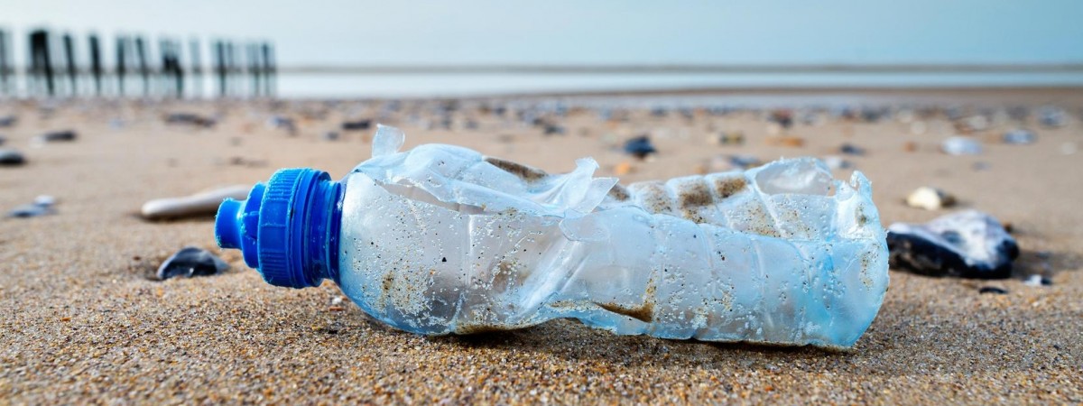 Tak sprząta Norwegia. Największy grupowy dugnad w kraju: w sobotę oficjalne wydarzenie