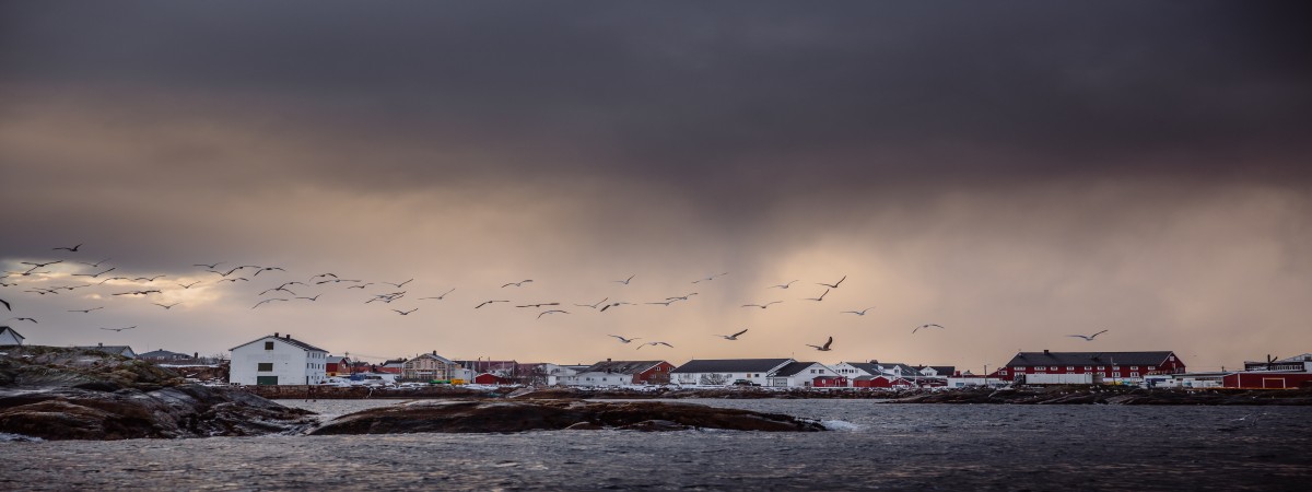 Uwaga na silny wiatr: pomarańczowy alert pogodowy