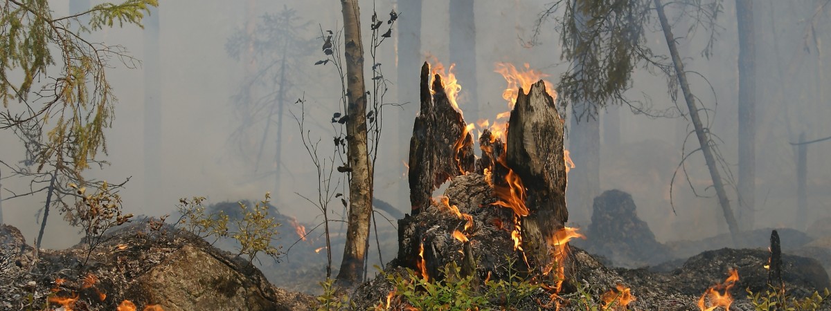 Ogromne ryzyko kolejnych pożarów w Norwegii. Ålesund, Oslo i Stavanger wśród najbardziej narażonych