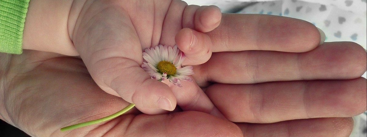 Dziś Dzień Matki: wszystkim mamom życzymy wszystkiego najlepszego