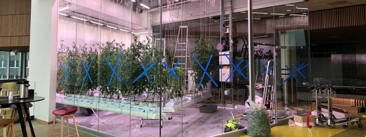 Branża lotnicza też chce być „eko”: hala przylotów w Stavanger zyskała własną… szklarnię