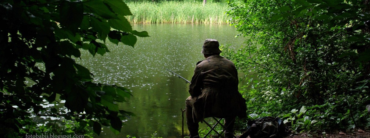 Nieznana choroba atakuje łososie. To zagrożenie dla całej populacji