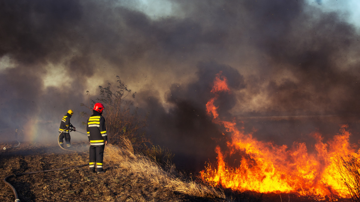 Wielkie pożary ogarną Norwegię? Meteorolodzy mówią o ekstremalnym zagrożeniu