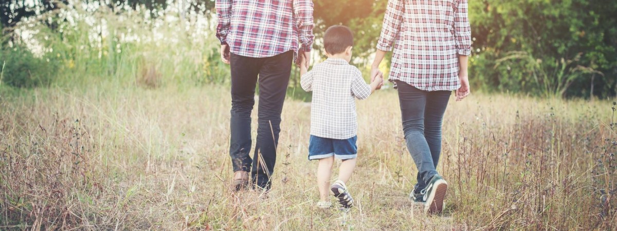 Zrozumieć Barnevernet