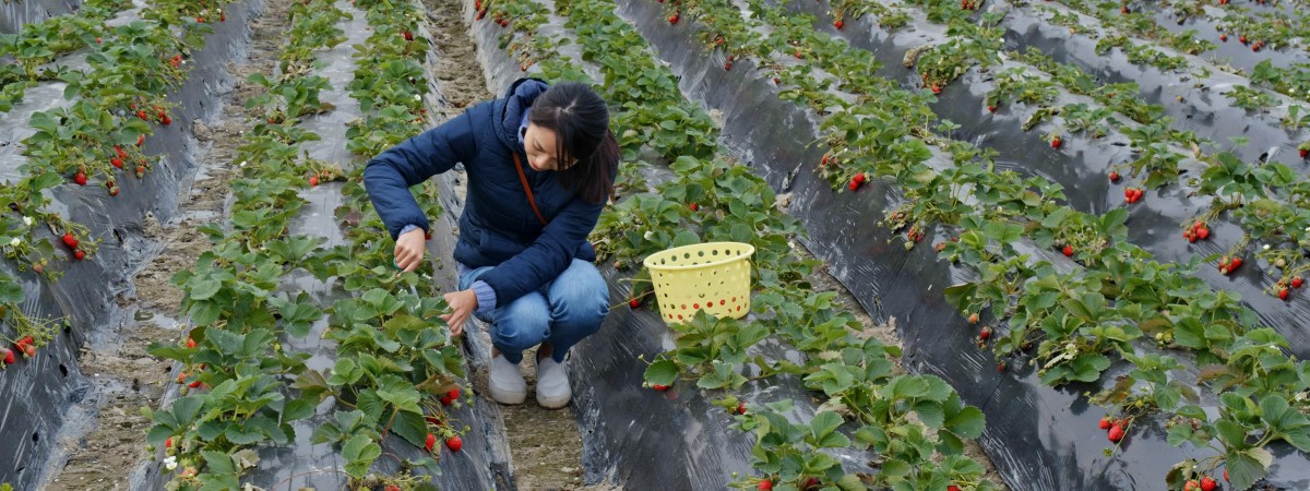 Kraj fiordów wpuści więcej imigrantów zarobkowych. Zmiany od 1 lipca