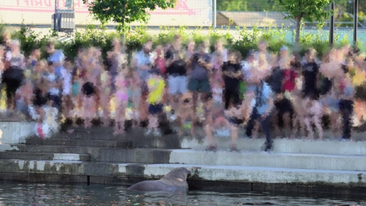 Premier Norwegii: popieram decyzję o uśpieniu Freyi