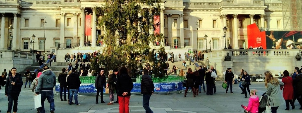 „To najbiedniejsza choinka na świecie”. Norweskie drzewko wyśmiane w internecie