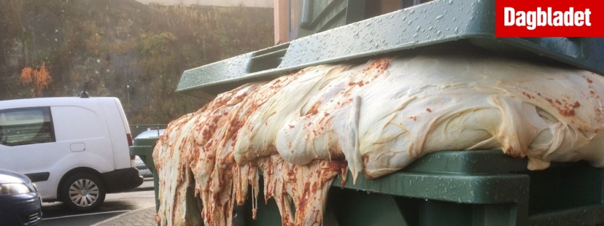 Niecodzienny widok wystraszył mieszkańców Bergen 