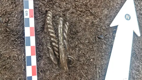 Te bransoletki nosili wikingowie? Norwescy archeolodzy odkryli srebrny skarb z IX wieku