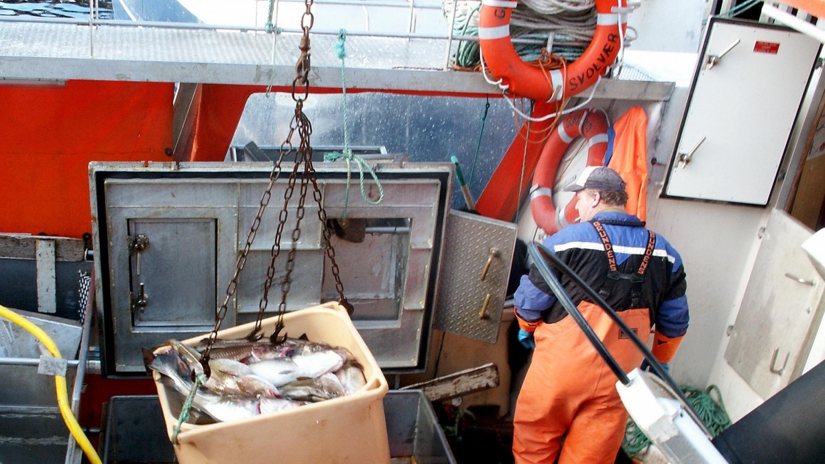 Nowy program dla firm dotkniętych kryzysem: ma pomóc wrócić do pracy z permitteringu