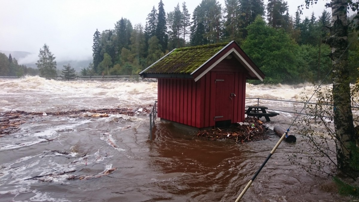 Duże ilości topniejącego śniegu i deszczu. Meteorolodzy podnoszą alarm powodziowy