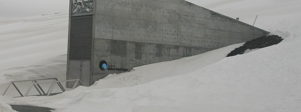 Arktyka już nie jest naturalną lodówką. Największy bank nasion przecieka i czeka go remont